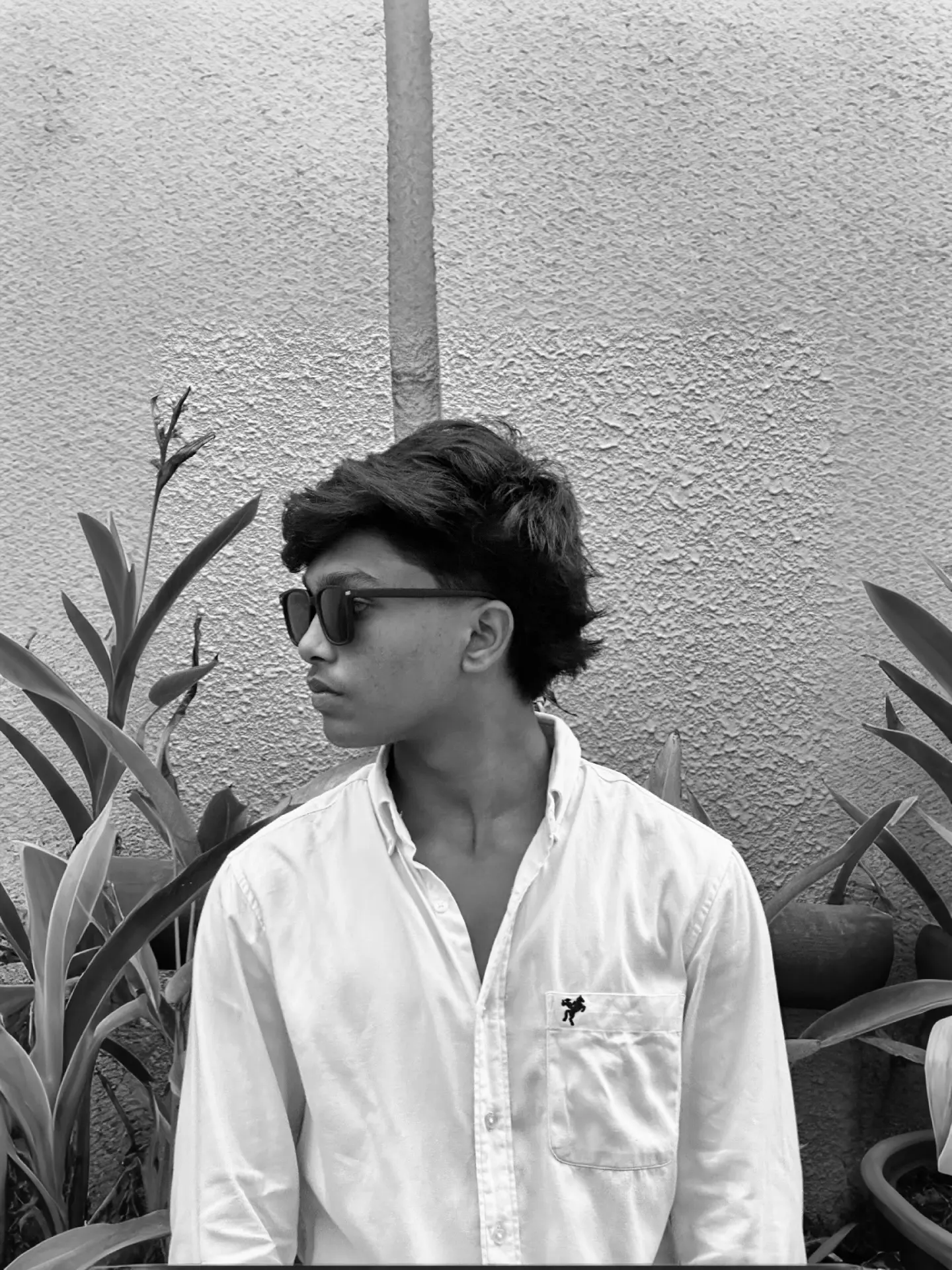 Digital-marketing-expert